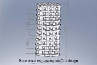 bone scaffold
